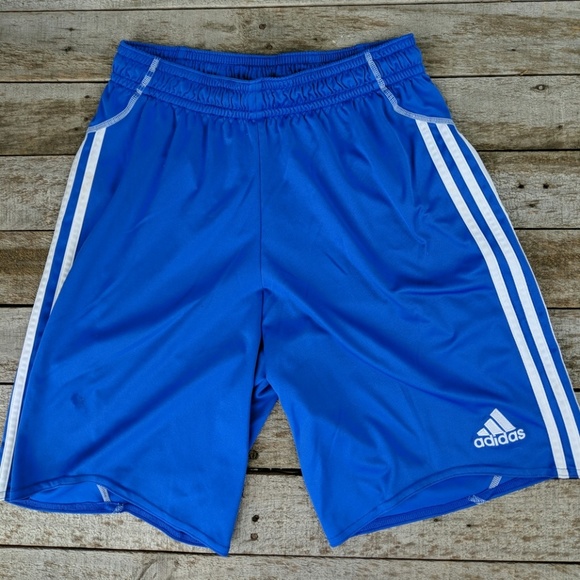 adidas climalite 365 shorts